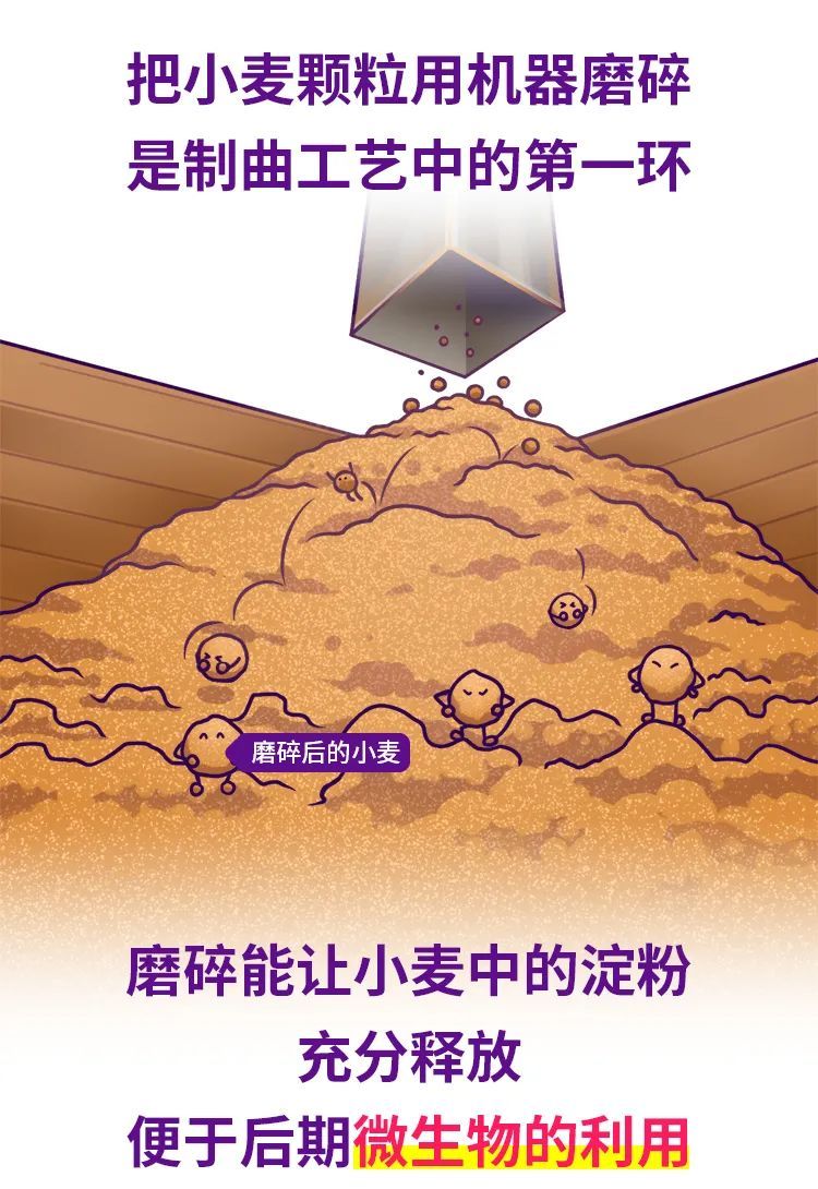 醬酒內(nèi)行大師班-醬酒制曲